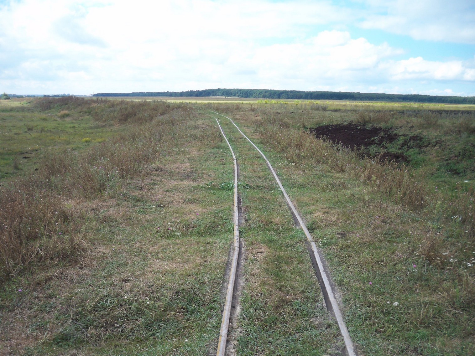 Узкоколейная железная дорога Стояновского торфобрикетного завода
  —  фотографии, сделанные в 2013 году (часть 6)