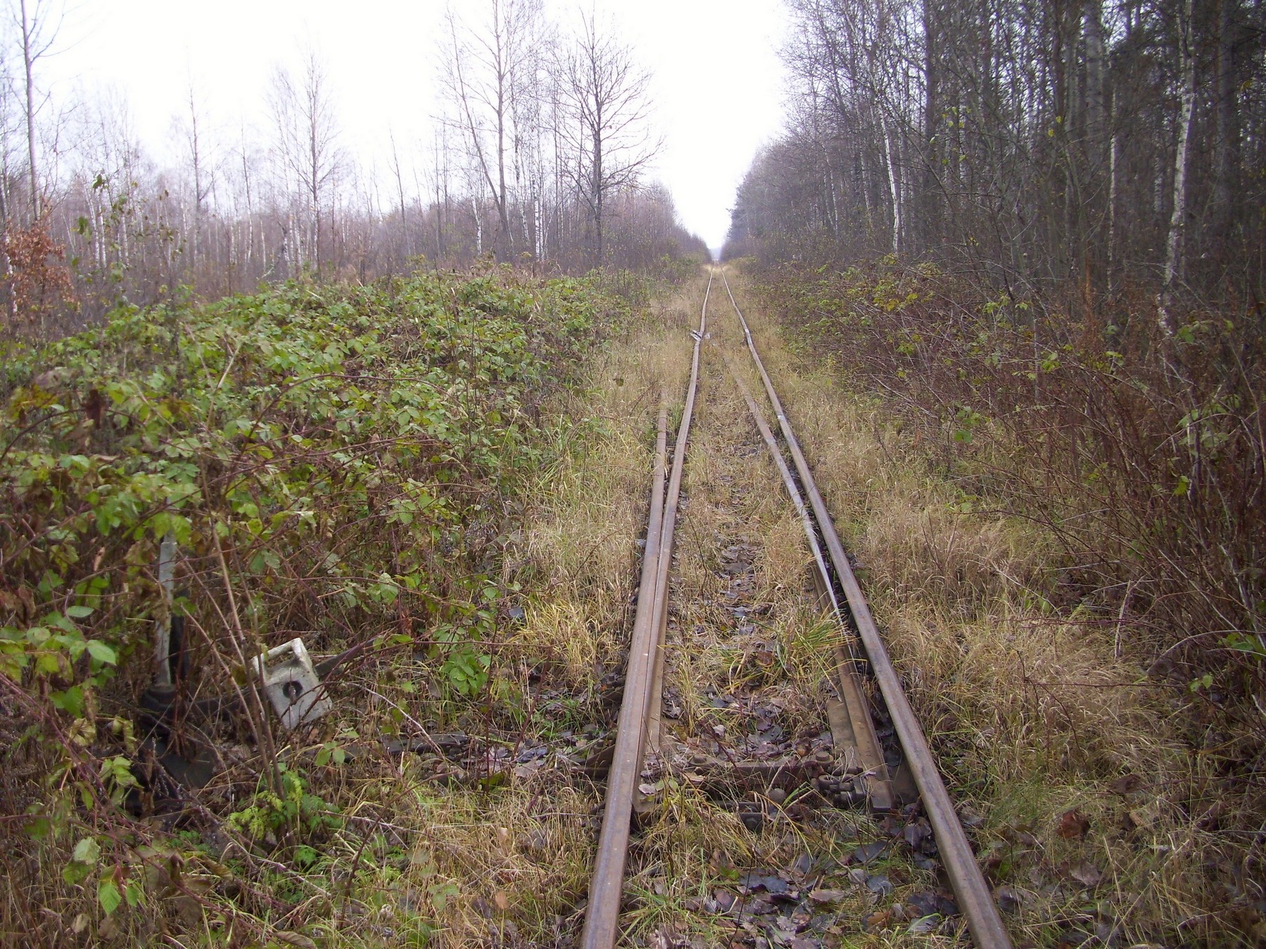 Узкоколейная железная дорога торфопредприятия «Татарка» — фотографии, сделанные в 2011 году (часть 7)