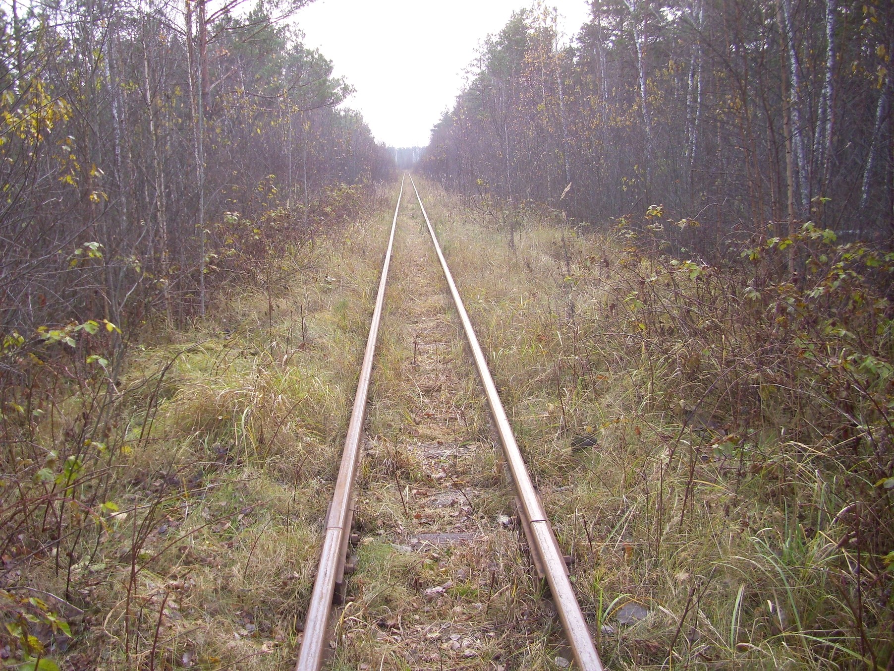 Узкоколейная железная дорога торфопредприятия «Татарка» — фотографии, сделанные в 2011 году (часть 8)
