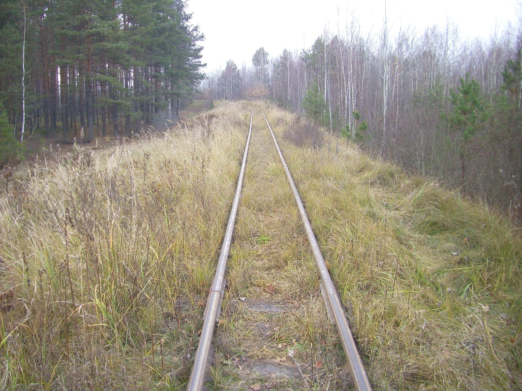 Узкоколейная железная дорога торфопредприятия «Татарка» — фотографии, сделанные в 2011 году (часть 9)