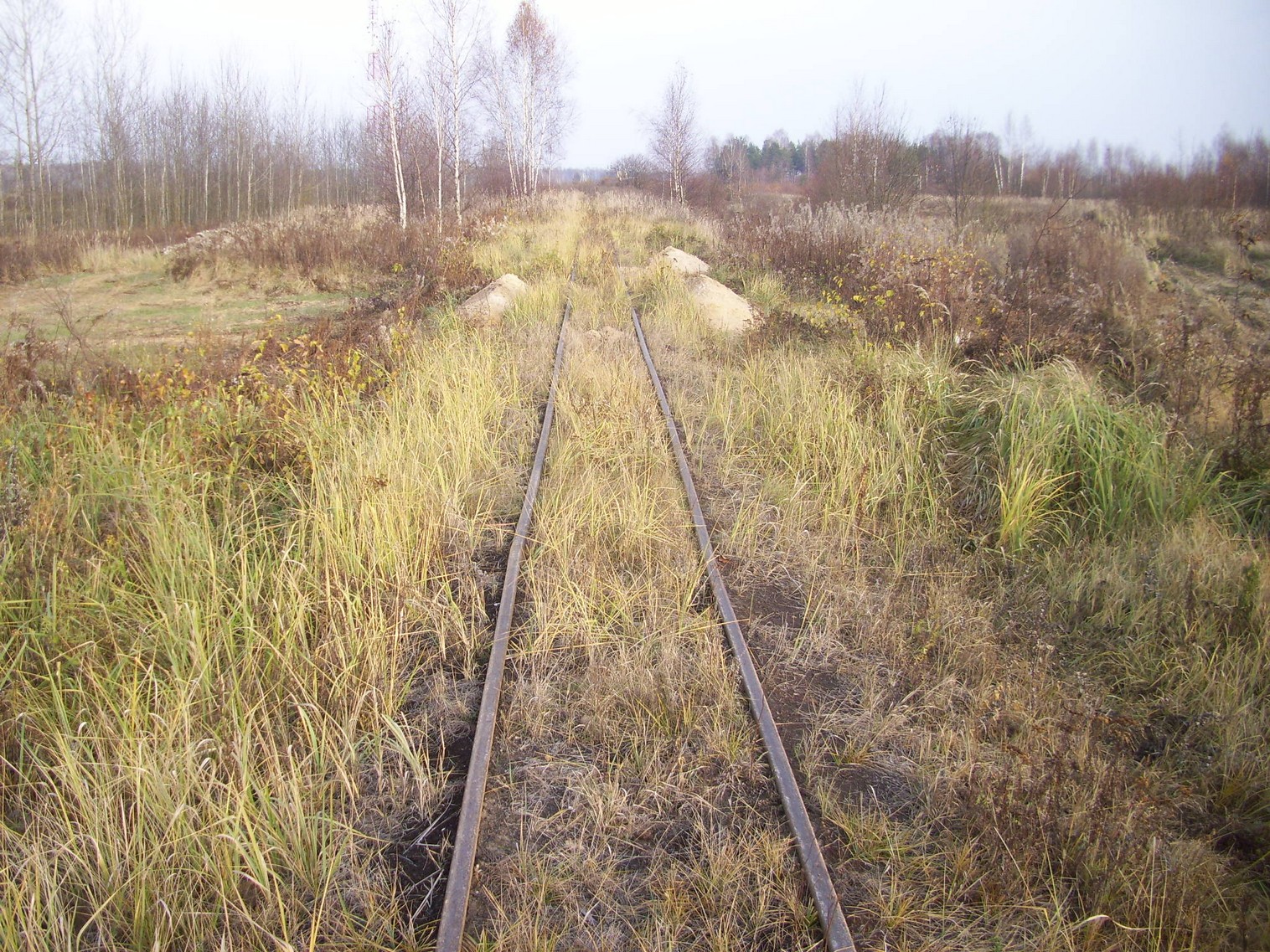 Узкоколейная железная дорога торфопредприятия «Татарка» — фотографии, сделанные в 2011 году (часть 11)