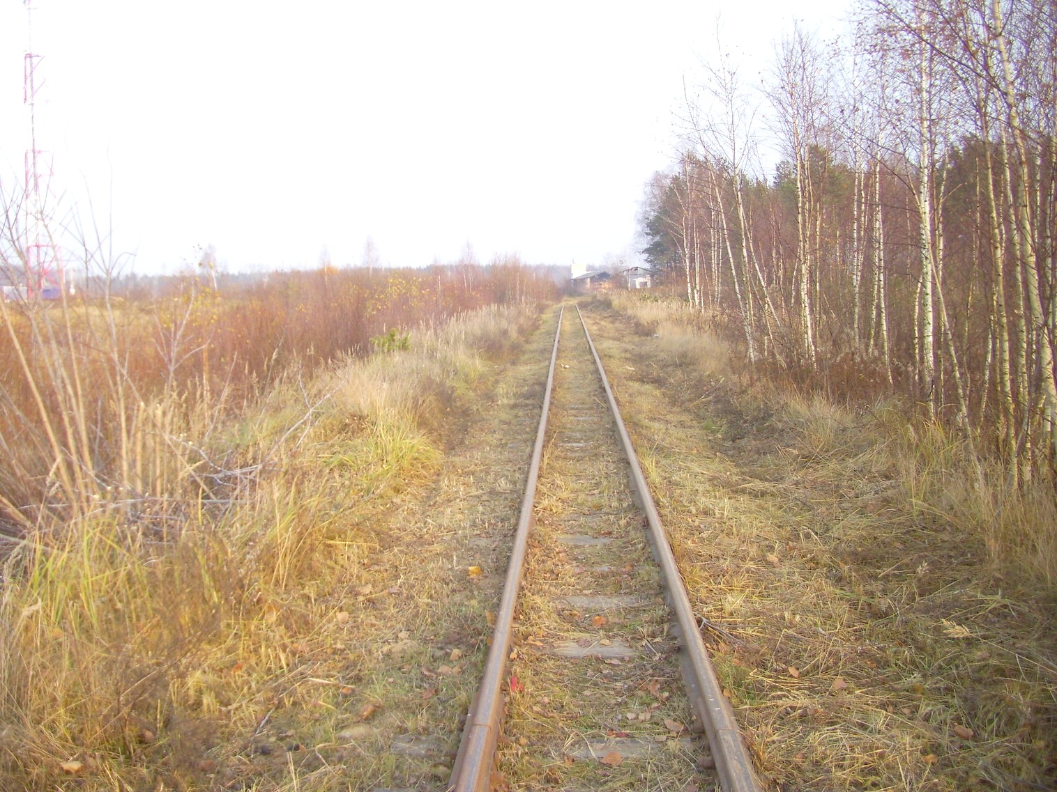 Узкоколейная железная дорога торфопредприятия «Татарка» — фотографии, сделанные в 2011 году (часть 12)