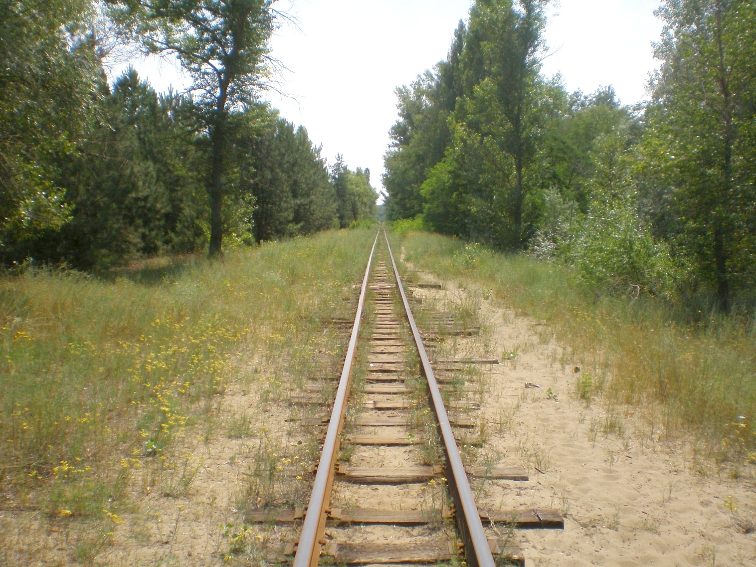 Запорожская детская железная дорога   —  фотографии, сделанные в 2009 году (часть 10)