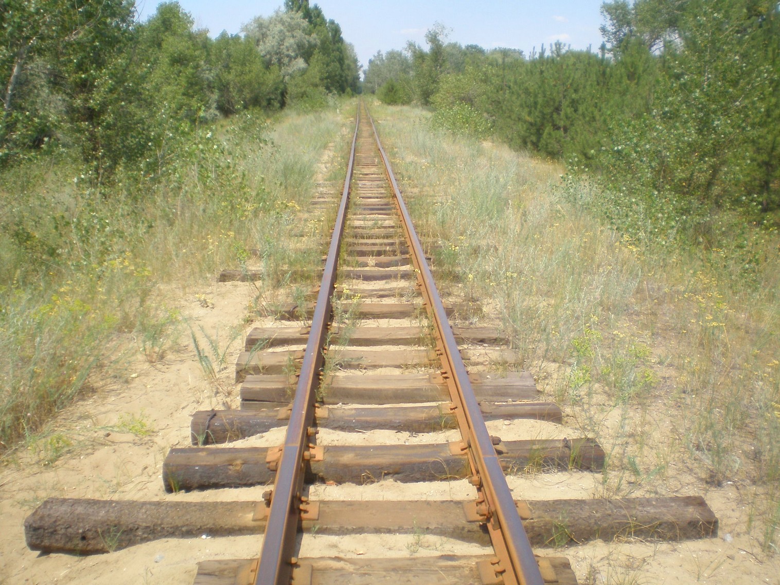 Запорожская детская железная дорога   —  фотографии, сделанные в 2009 году (часть 11)