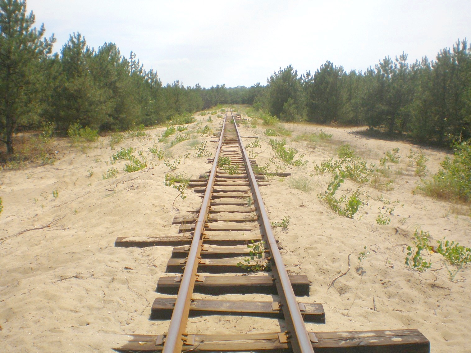 Запорожская детская железная дорога   —  фотографии, сделанные в 2009 году (часть 13)