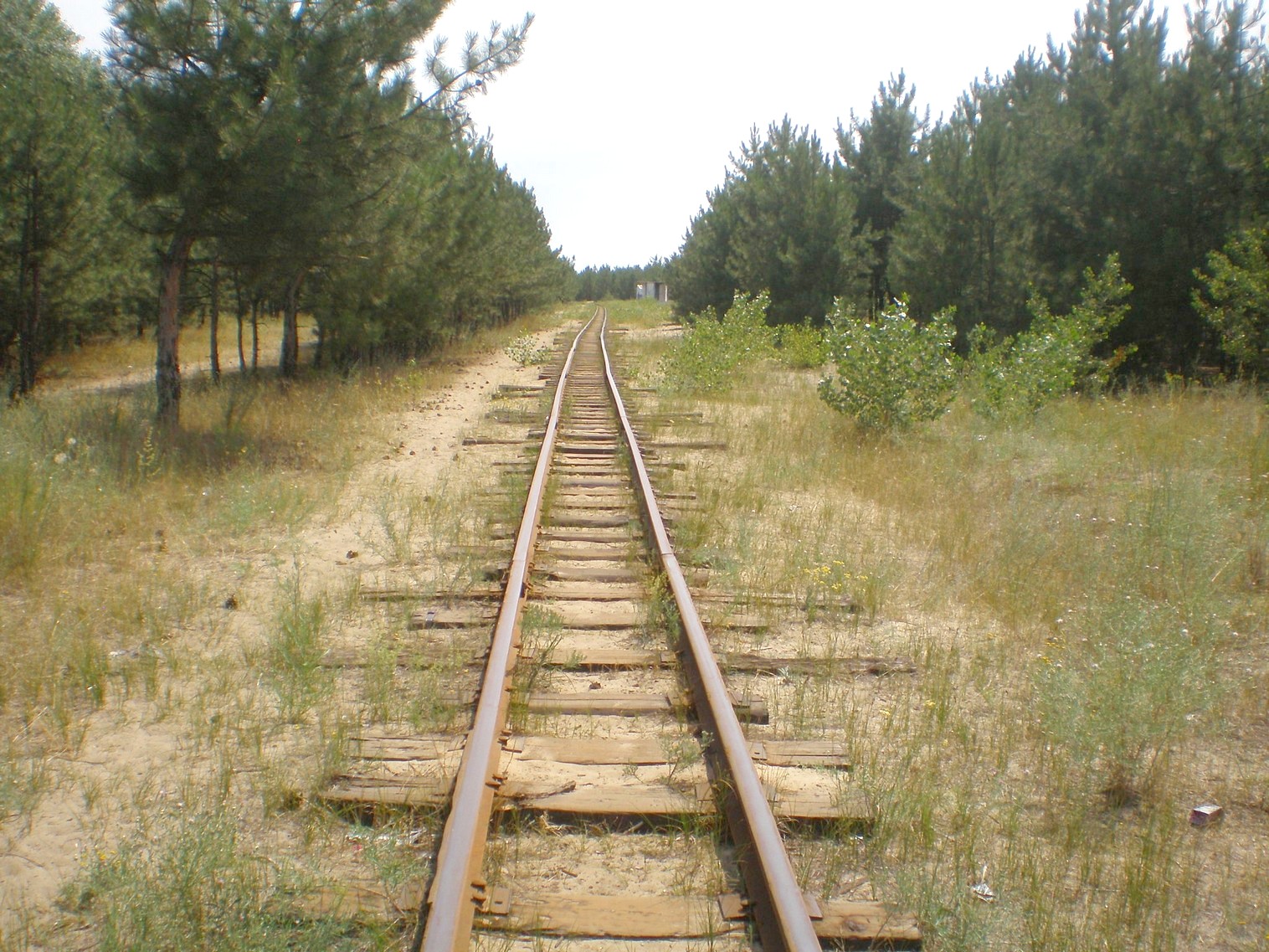 Запорожская детская железная дорога   —  фотографии, сделанные в 2009 году (часть 14)