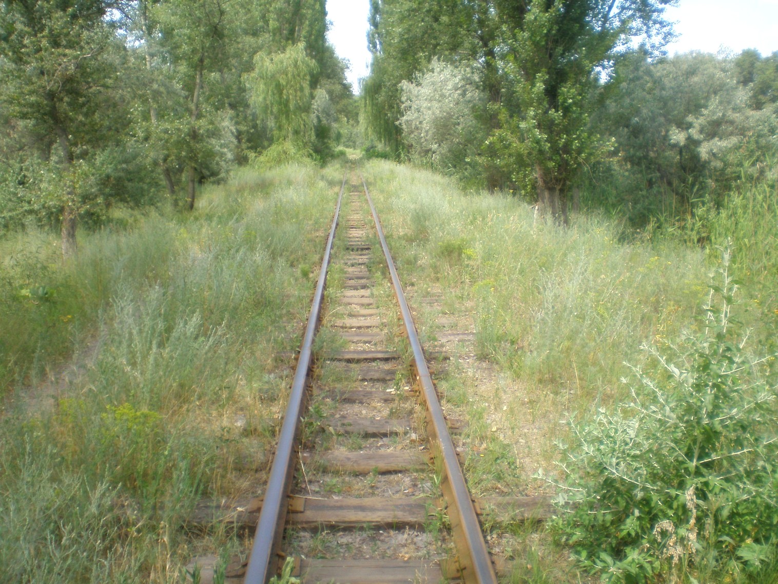 Запорожская детская железная дорога   —  фотографии, сделанные в 2009 году (часть 15)