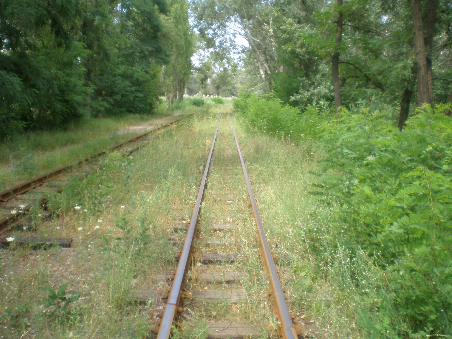Запорожская детская железная дорога   —  фотографии, сделанные в 2009 году (часть 16)