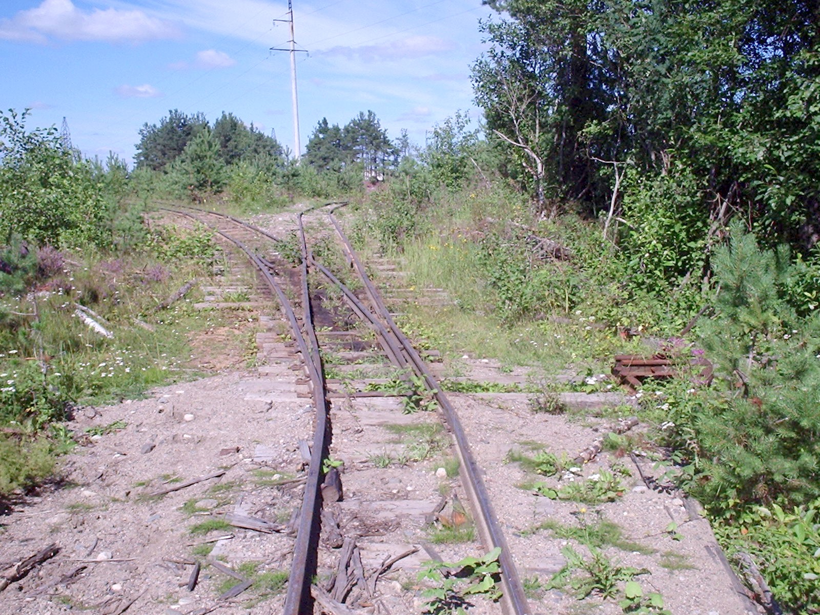 Белоручейская узкоколейная железная дорога — фотографии, сделанные в 2006 году (часть 10)