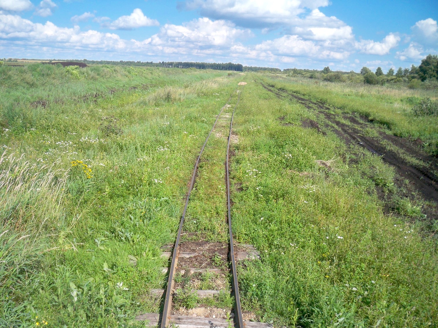 Узкоколейная железная дорога Браславского торфопредприятия
  —  фотографии, сделанные в 2013 году (часть 4)