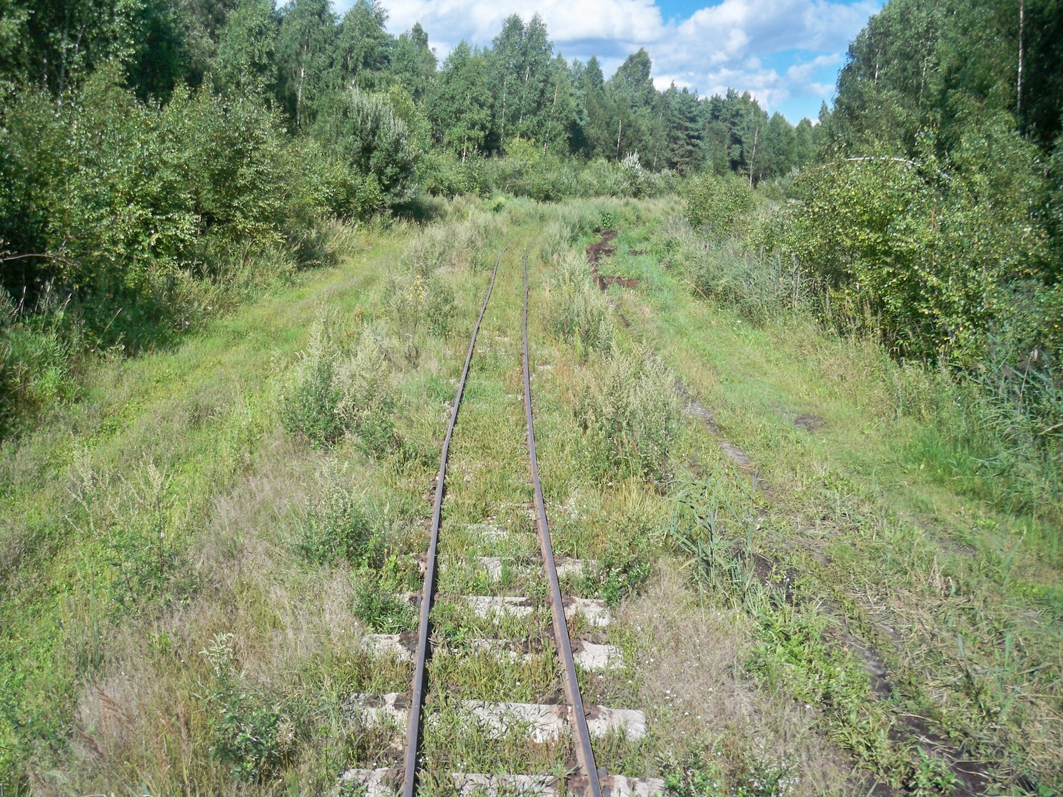 Княжегорская ужд карта