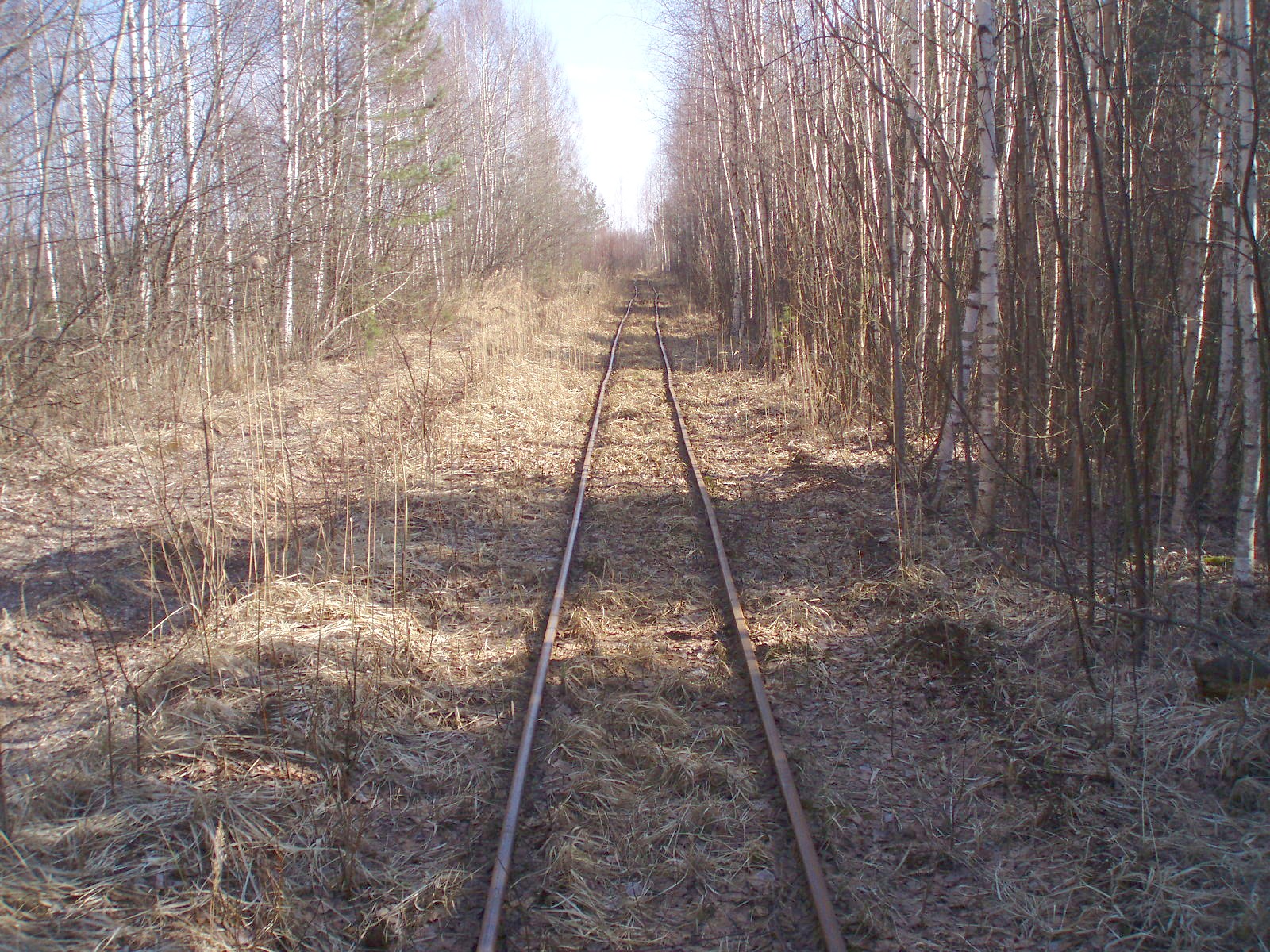 Узкоколейная железная дорога Кимрского торфопредприятия  — фотографии, сделанные в 2007 году (часть 8)