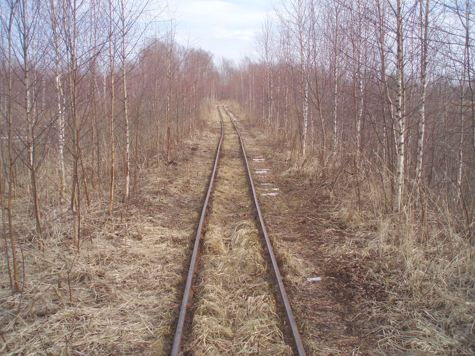 Узкоколейная железная дорога Кимрского торфопредприятия  — фотографии, сделанные в 2007 году (часть 15)