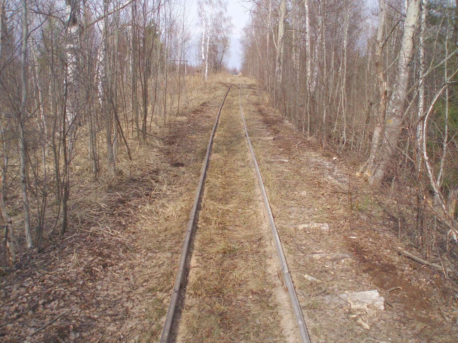 Узкоколейная железная дорога Кимрского торфопредприятия  — фотографии, сделанные в 2007 году (часть 16)