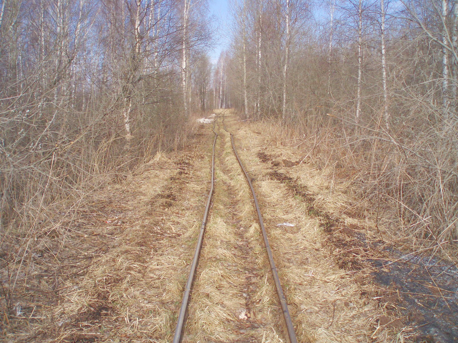 Узкоколейная железная дорога Кимрского торфопредприятия  — фотографии, сделанные в 2007 году (часть 3)