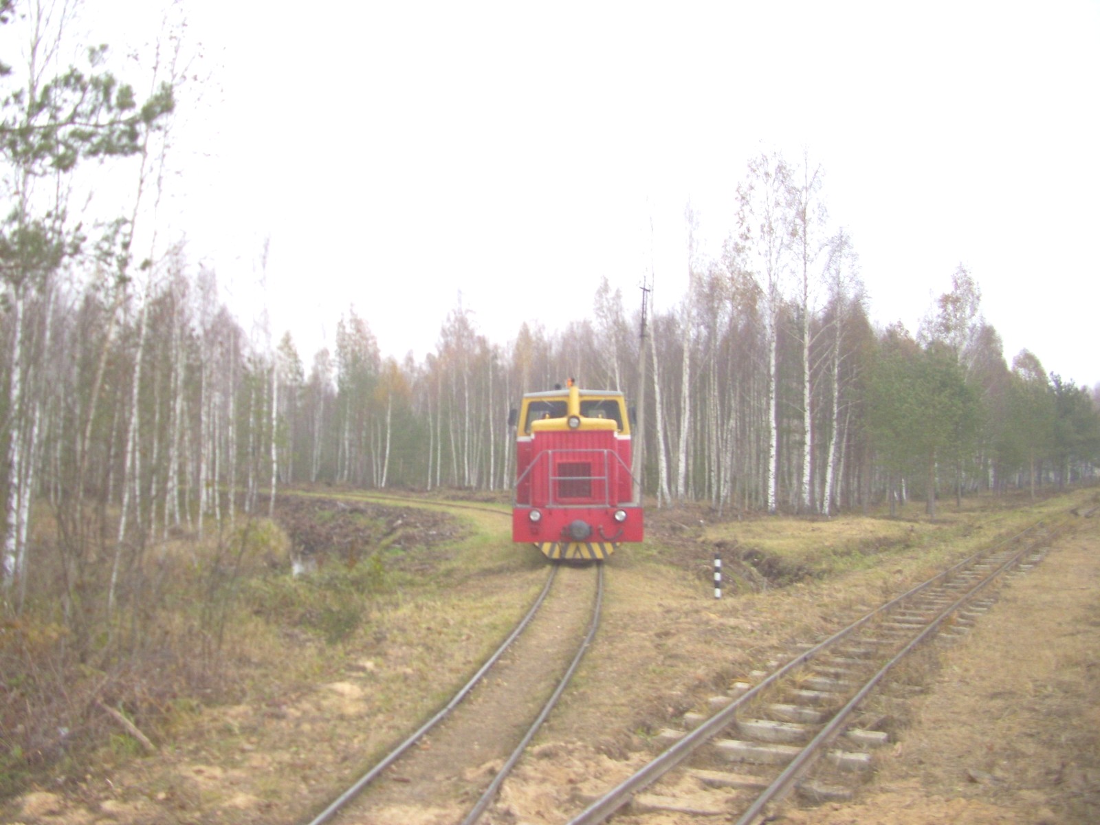 Узкоколейная железная дорога Докшицкого торфопредприятия
  —  фотографии, сделанные в 2011 году (часть 6)