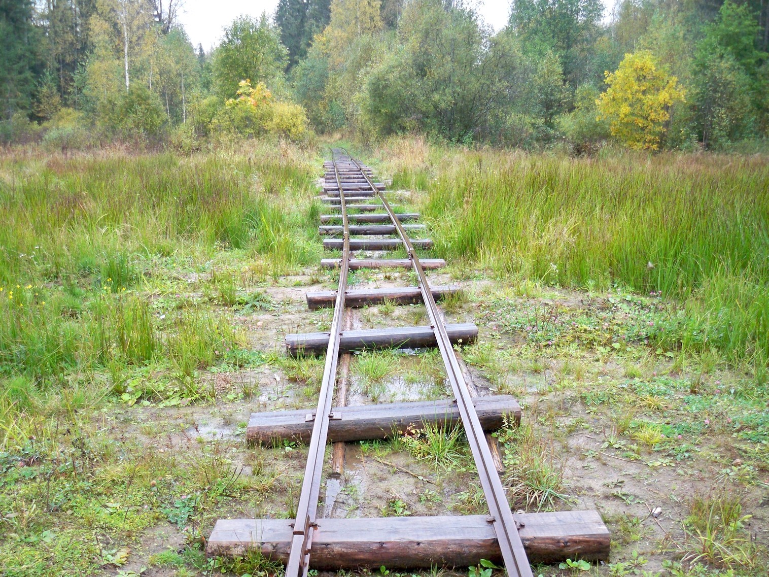 Нелидовская узкоколейная железная дорога 
  —  фотографии, сделанные в 2012 году (часть 7)