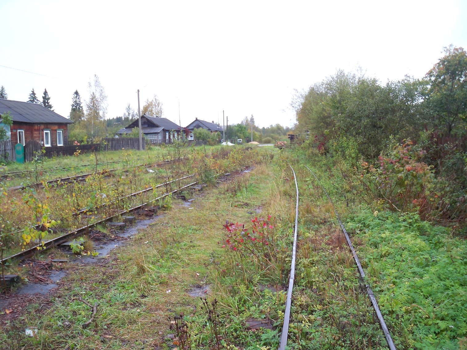 Нелидовская узкоколейная железная дорога 
  —  фотографии, сделанные в 2012 году (часть 13)