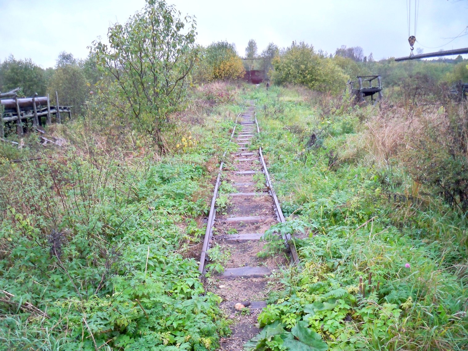 Нелидовская узкоколейная железная дорога 
  —  фотографии, сделанные в 2012 году (часть 15)