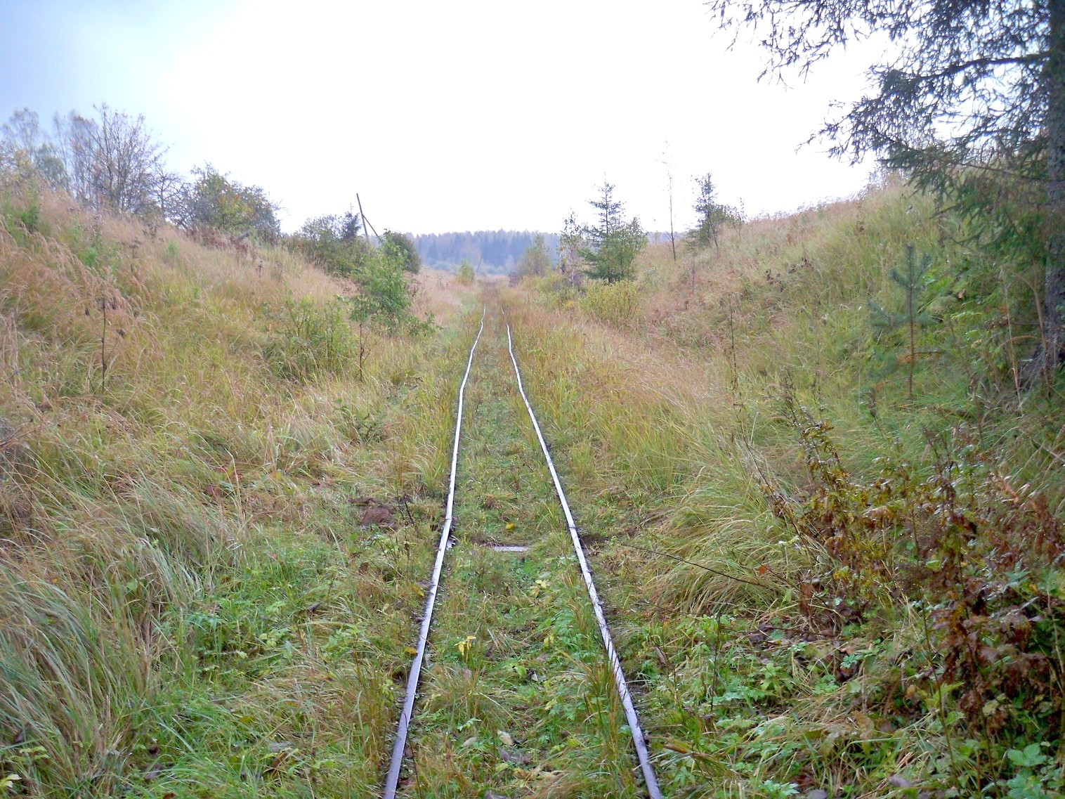 Нелидовская узкоколейная железная дорога 
  —  фотографии, сделанные в 2012 году (часть 4)