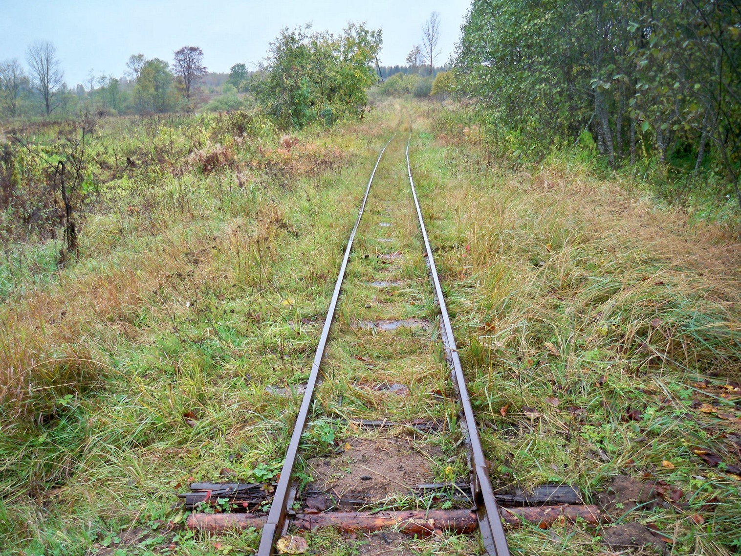 Нелидовская узкоколейная железная дорога 
  —  фотографии, сделанные в 2012 году (часть 5)