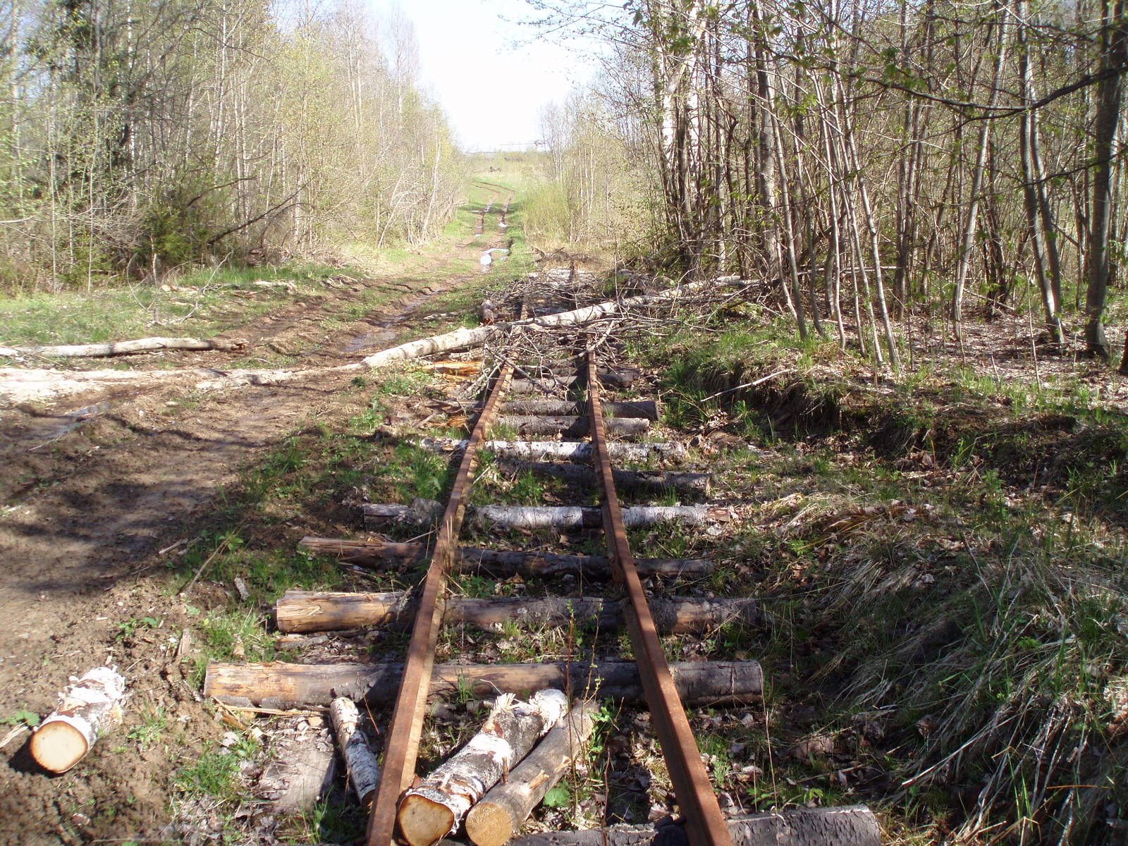 Смородинская узкоколейная железная дорога   — фотографии, сделанные в 2007 году (часть 1)