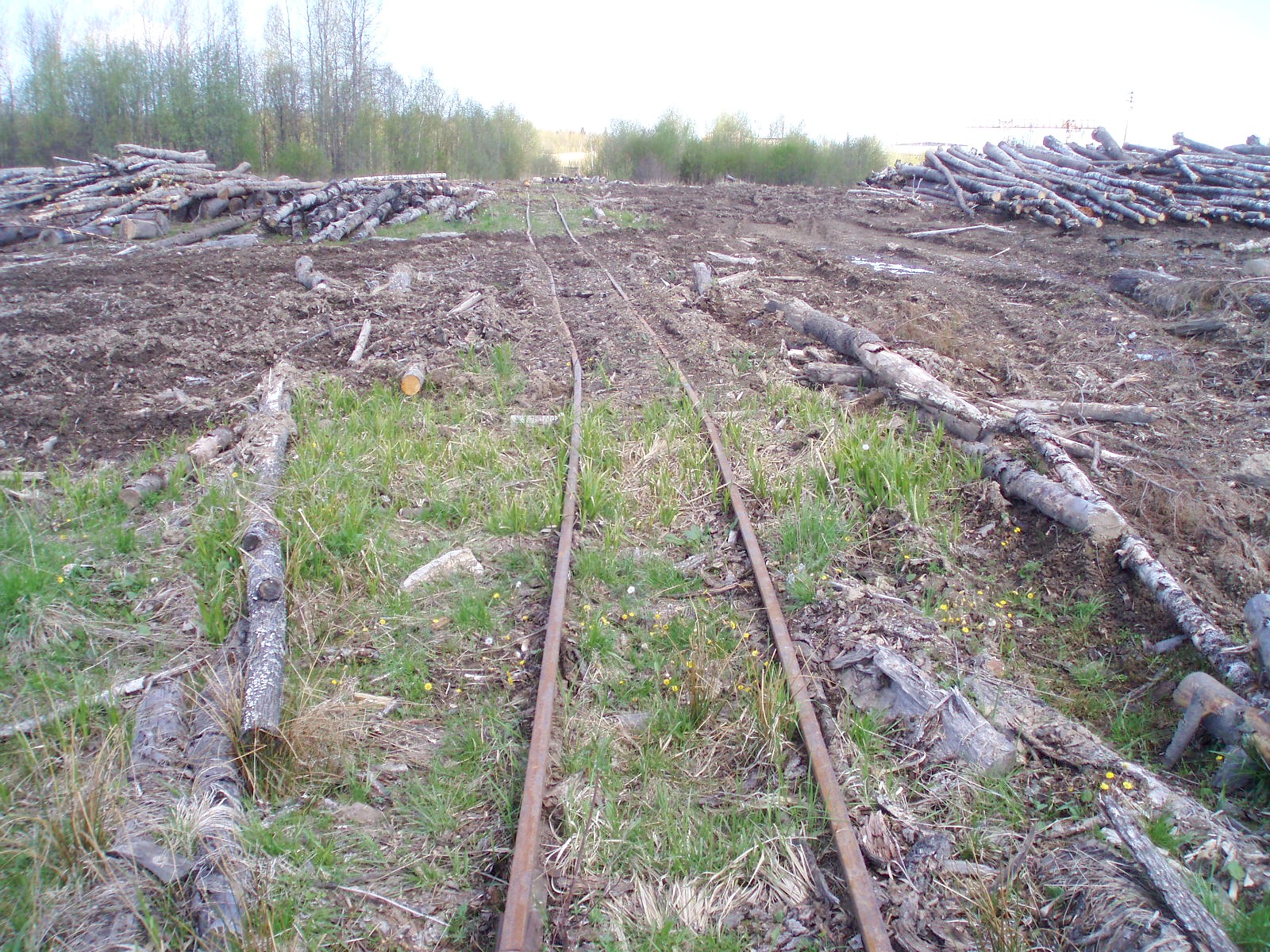 Смородинская узкоколейная железная дорога   — фотографии, сделанные в 2007 году (часть 2)