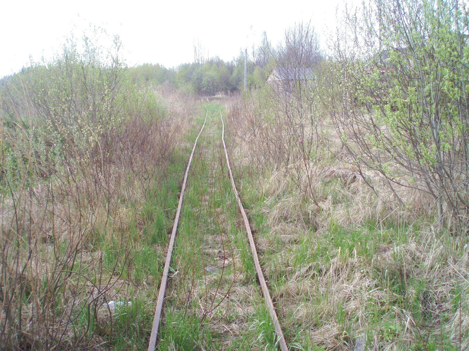 Смородинская узкоколейная железная дорога   — фотографии, сделанные в 2007 году (часть 3)