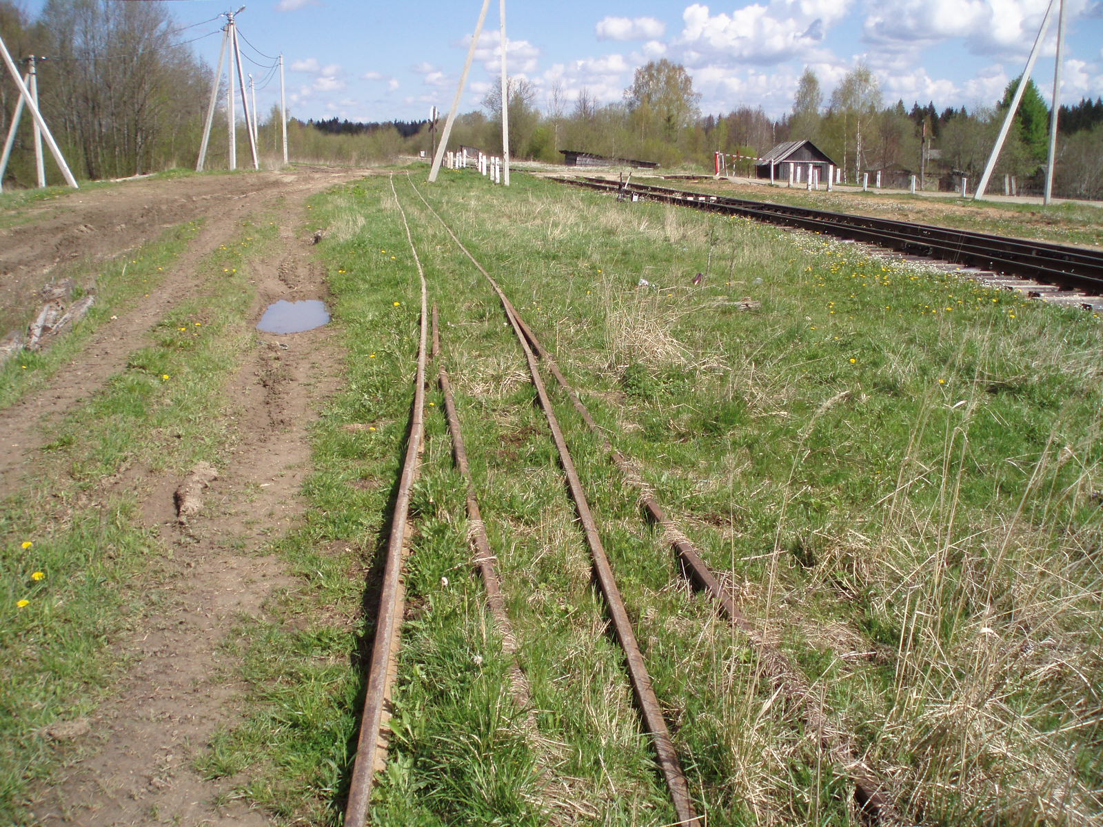 Смородинская узкоколейная железная дорога   — фотографии, сделанные в 2007 году (часть 5)