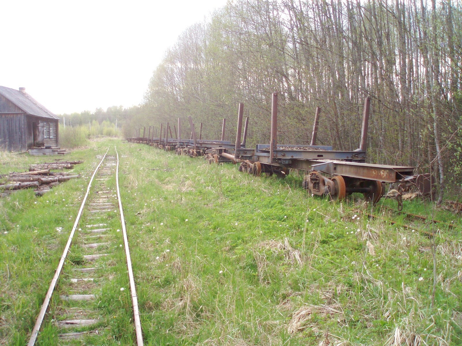 Тупиковская узкоколейная  железная дорога  —  фотографии, сделанные в 2007 году (часть 3)
