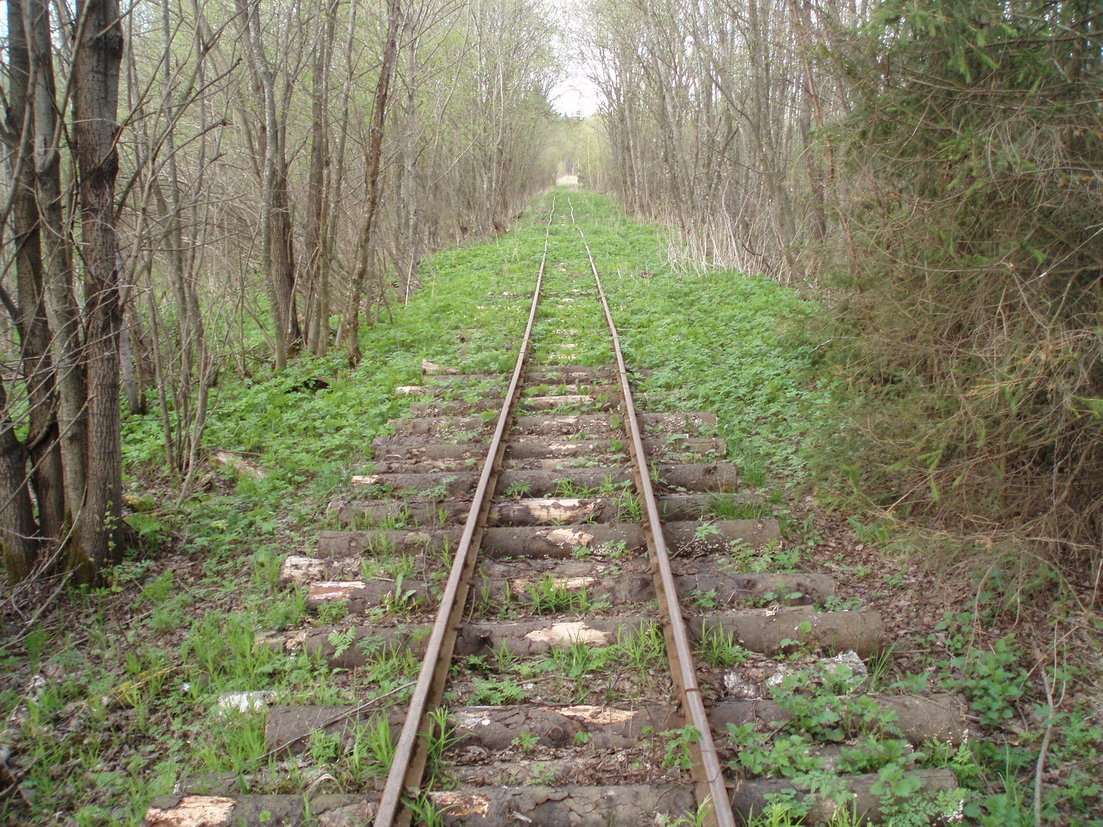Тупиковская узкоколейная  железная дорога  —  фотографии, сделанные в 2007 году (часть 5)