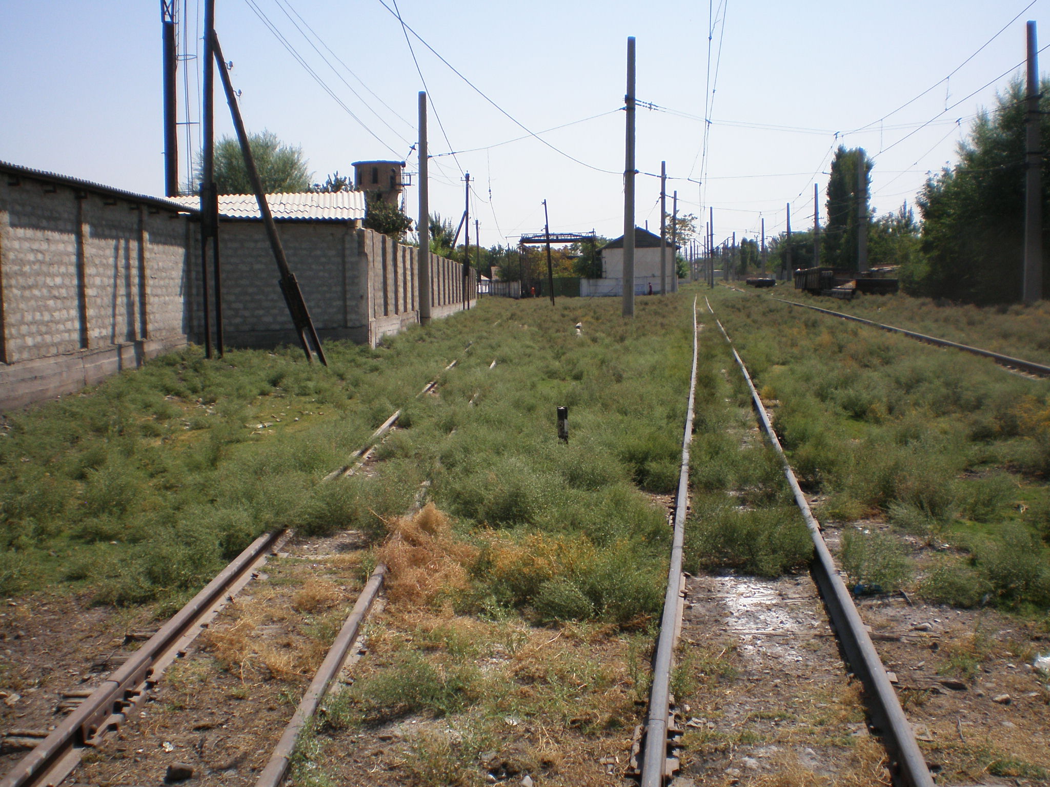 Сулюктинская узкоколейная железная дорога  —  фотографии, сделанные в 2008 году (часть 6)