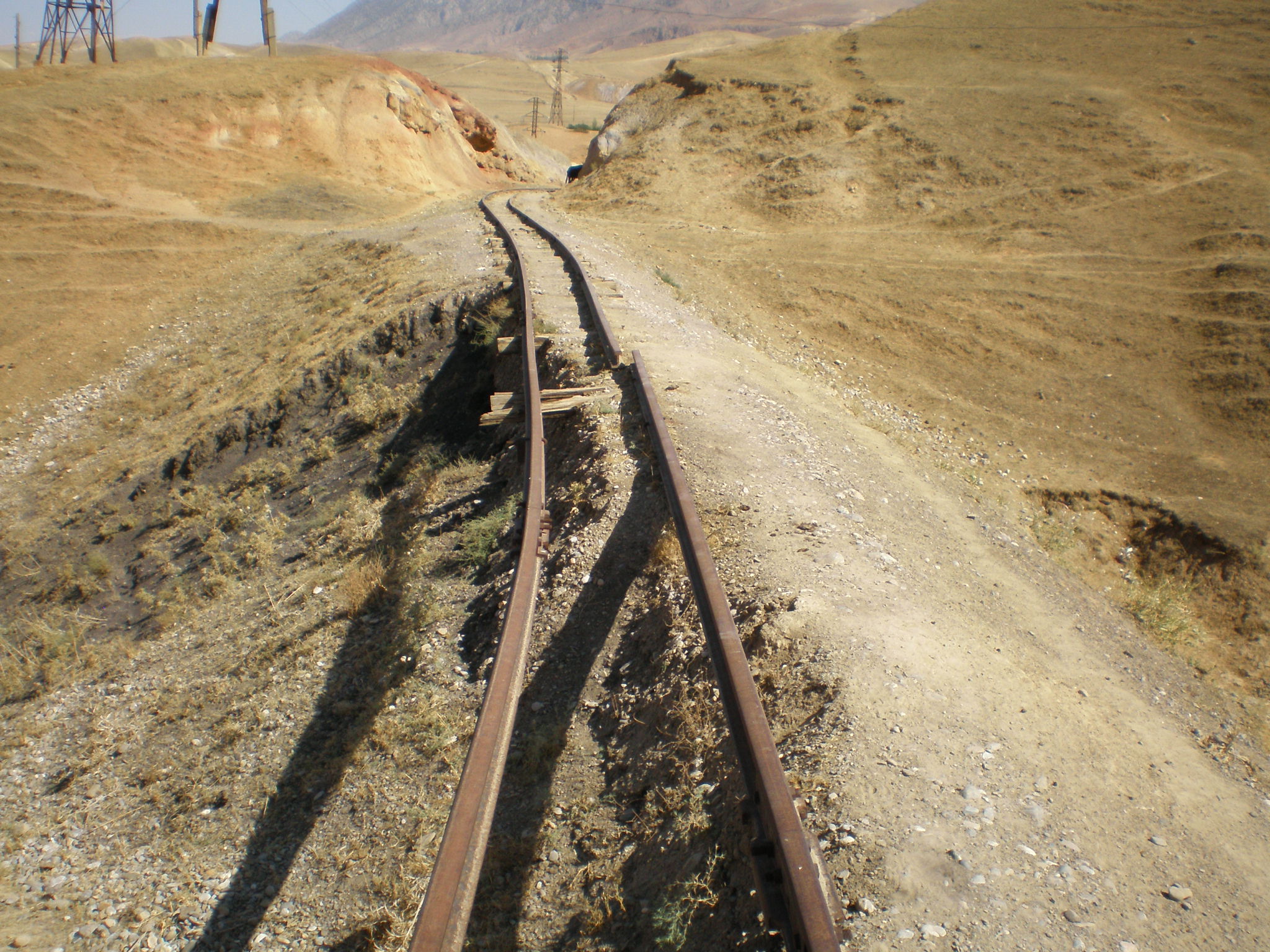Сулюктинская узкоколейная железная дорога  —  фотографии, сделанные в 2008 году (часть 65)