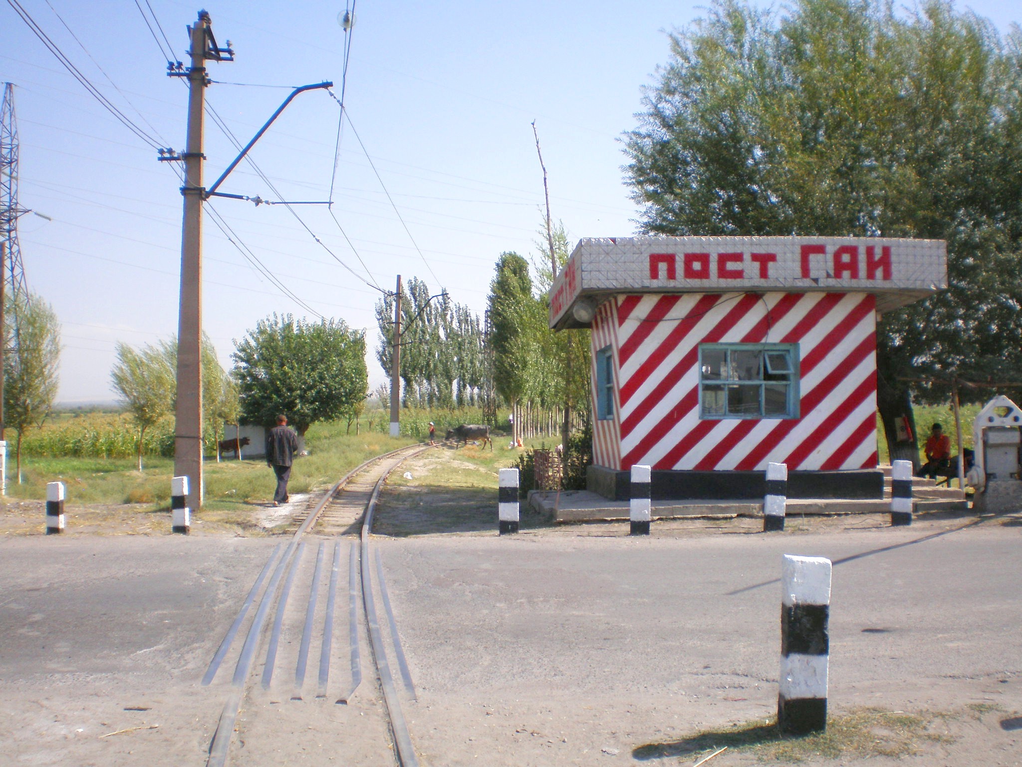 Сулюктинская узкоколейная железная дорога  —  фотографии, сделанные в 2008 году (часть 17)