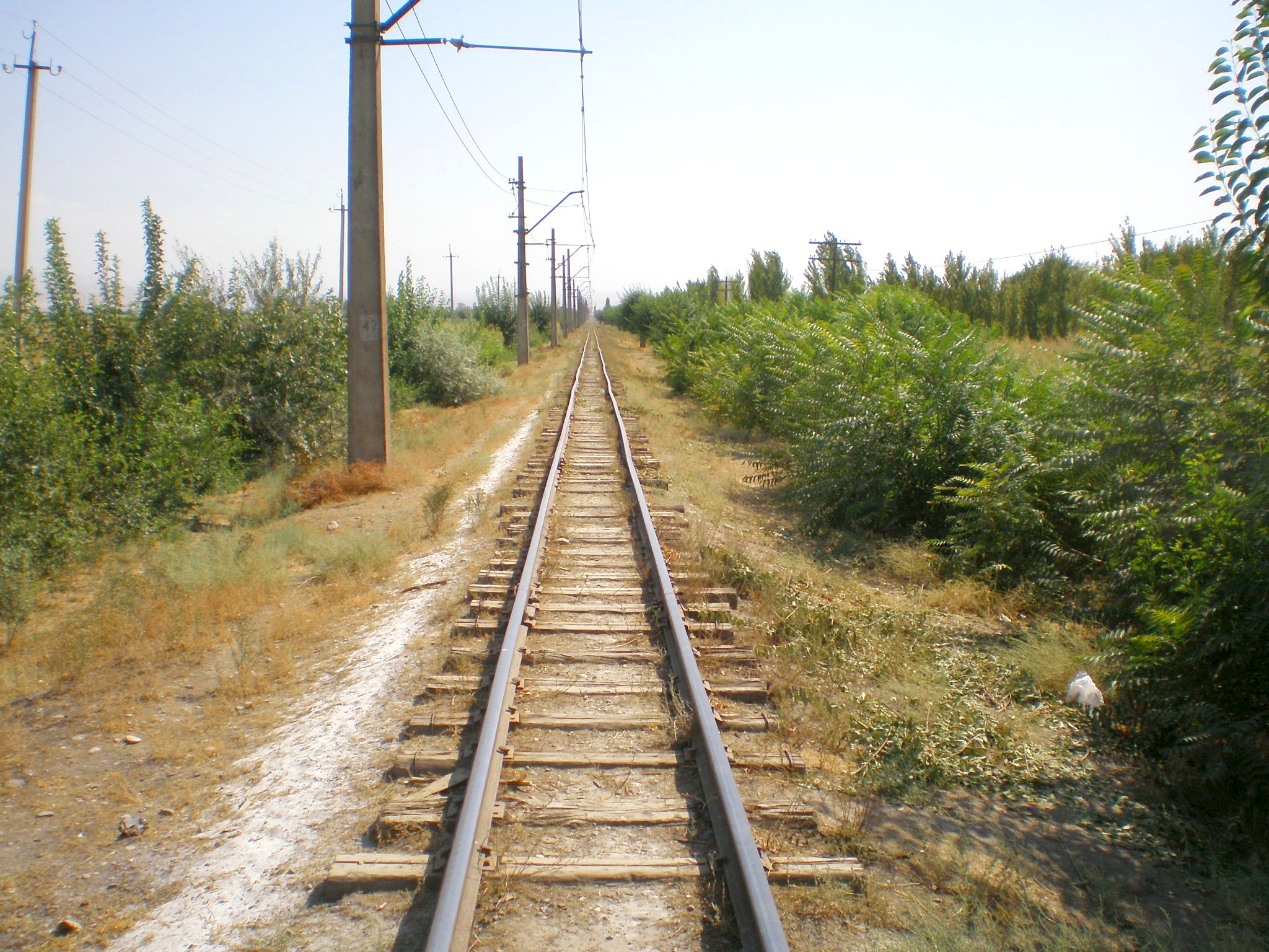 Сулюктинская узкоколейная железная дорога  —  фотографии, сделанные в 2008 году (часть 18)