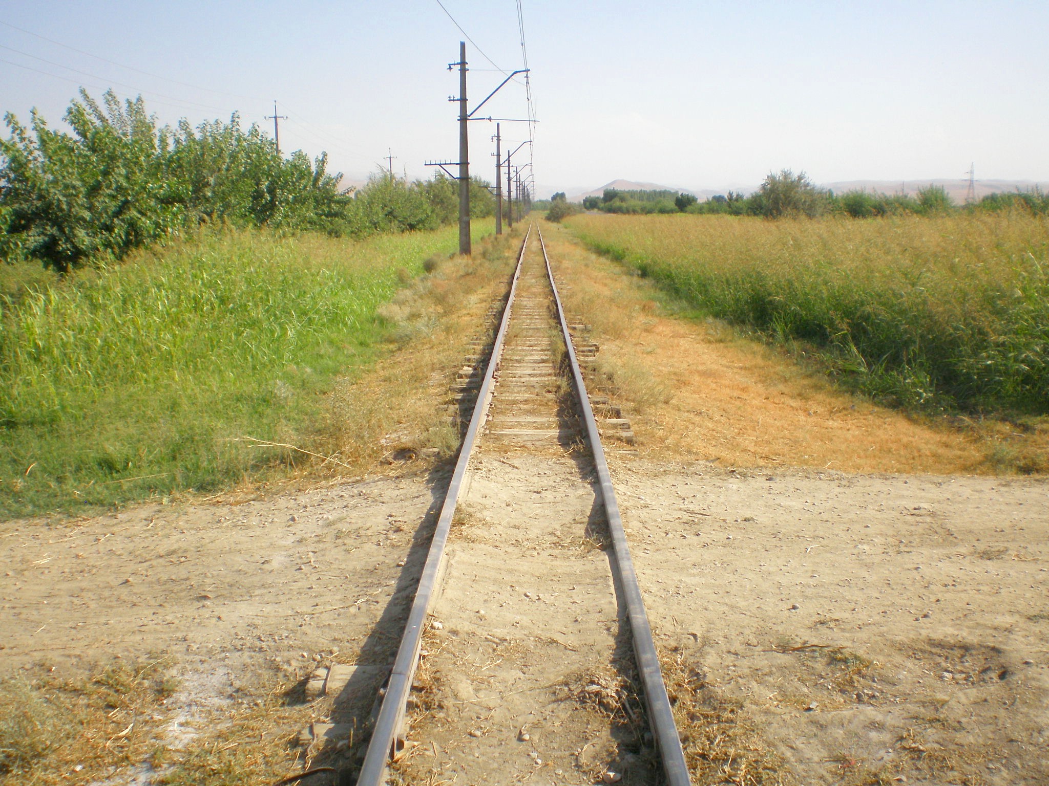 Сулюктинская узкоколейная железная дорога  —  фотографии, сделанные в 2008 году (часть 20)