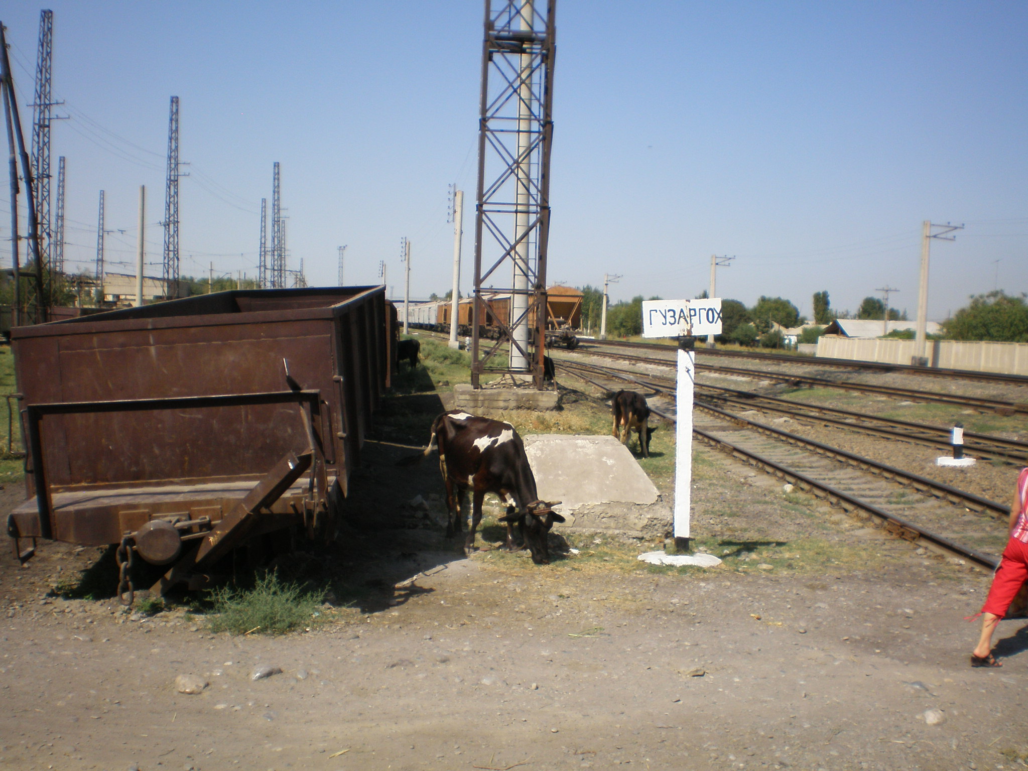 Сулюктинская узкоколейная железная дорога  —  фотографии, сделанные в 2008 году (часть 4)