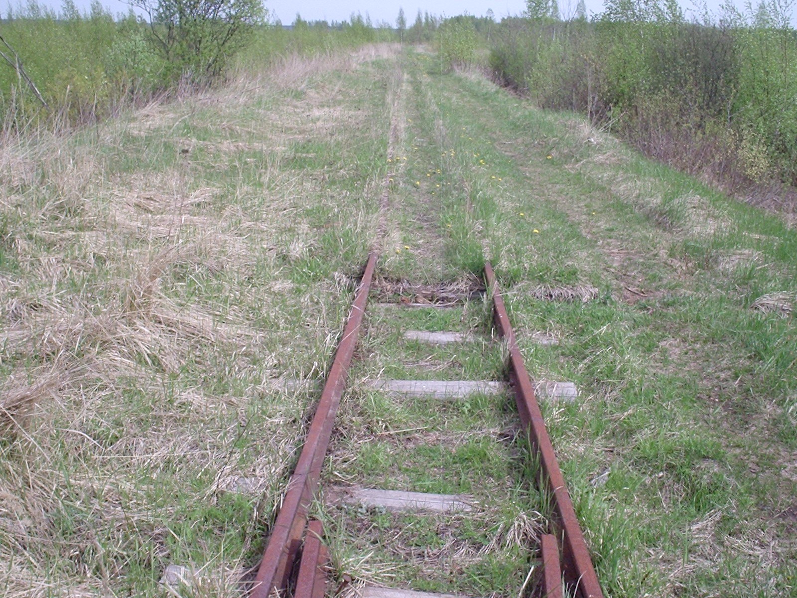 Узкоколейная железная дорога  торфопредприятия «Чистик»  —  фотографии, сделанные в 2007 году (часть 6)