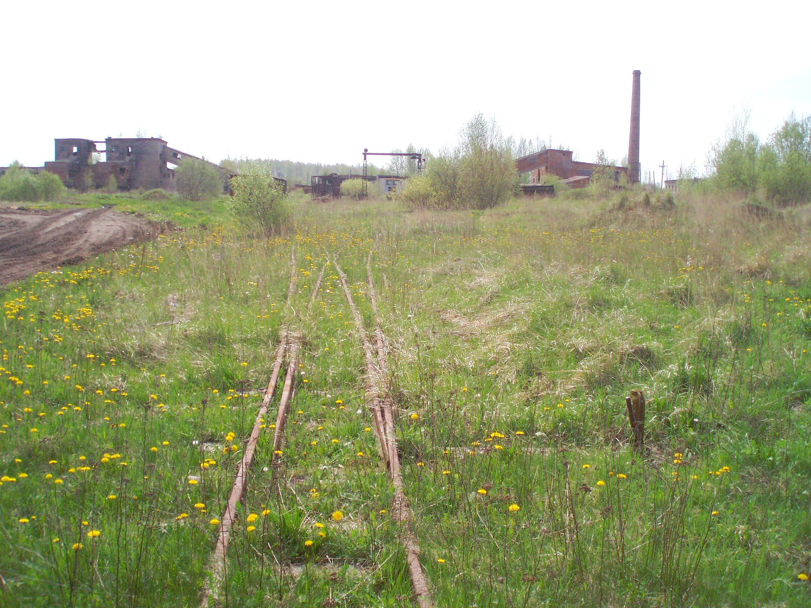 Узкоколейная железная дорога  торфопредприятия «Чистик»  —  фотографии, сделанные в 2007 году (часть 3)