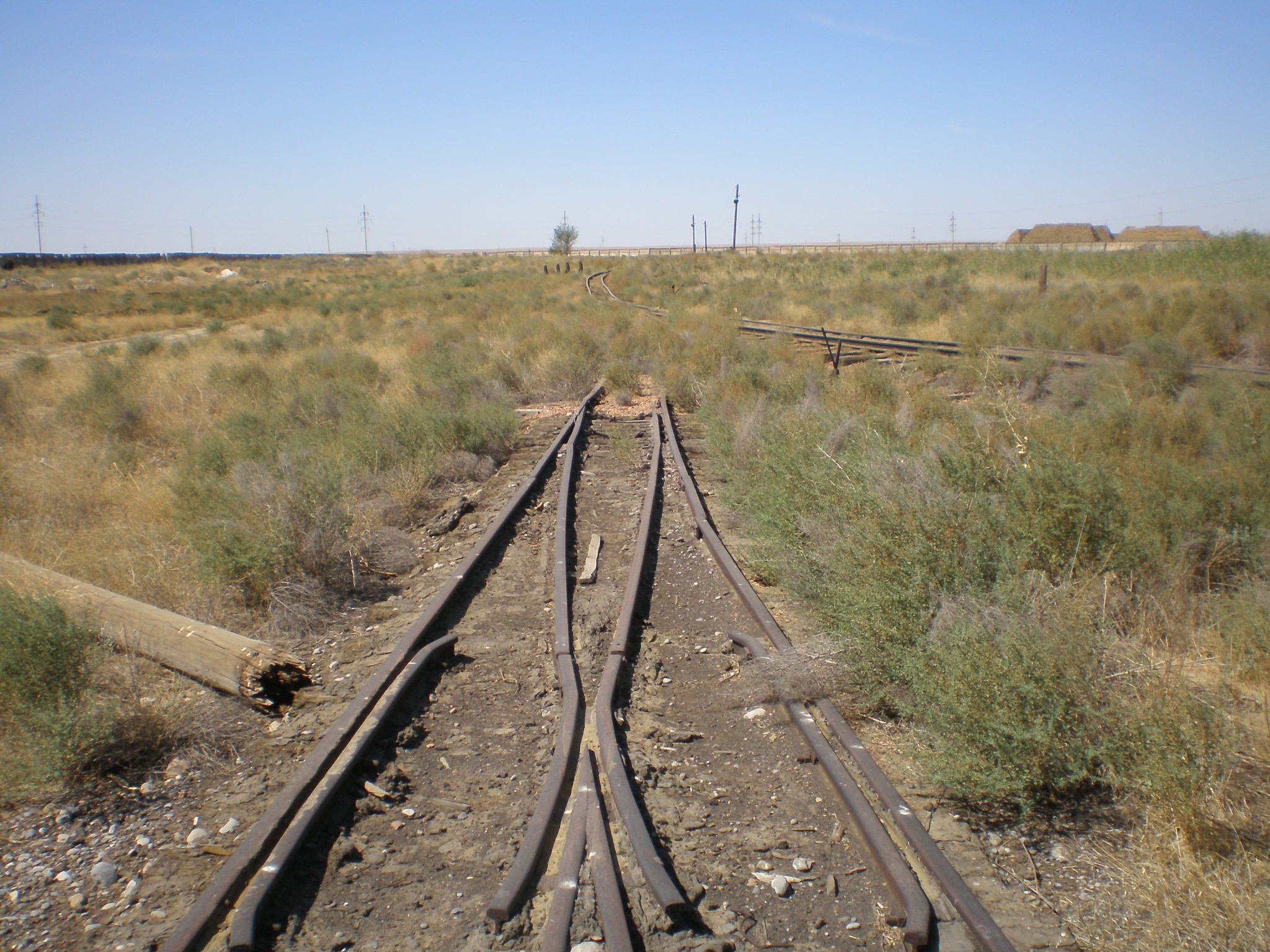 Узкоколейная железная дорога Арысского шпалопропиточного завода —  фотографии, сделанные в 2008 году (часть 8)