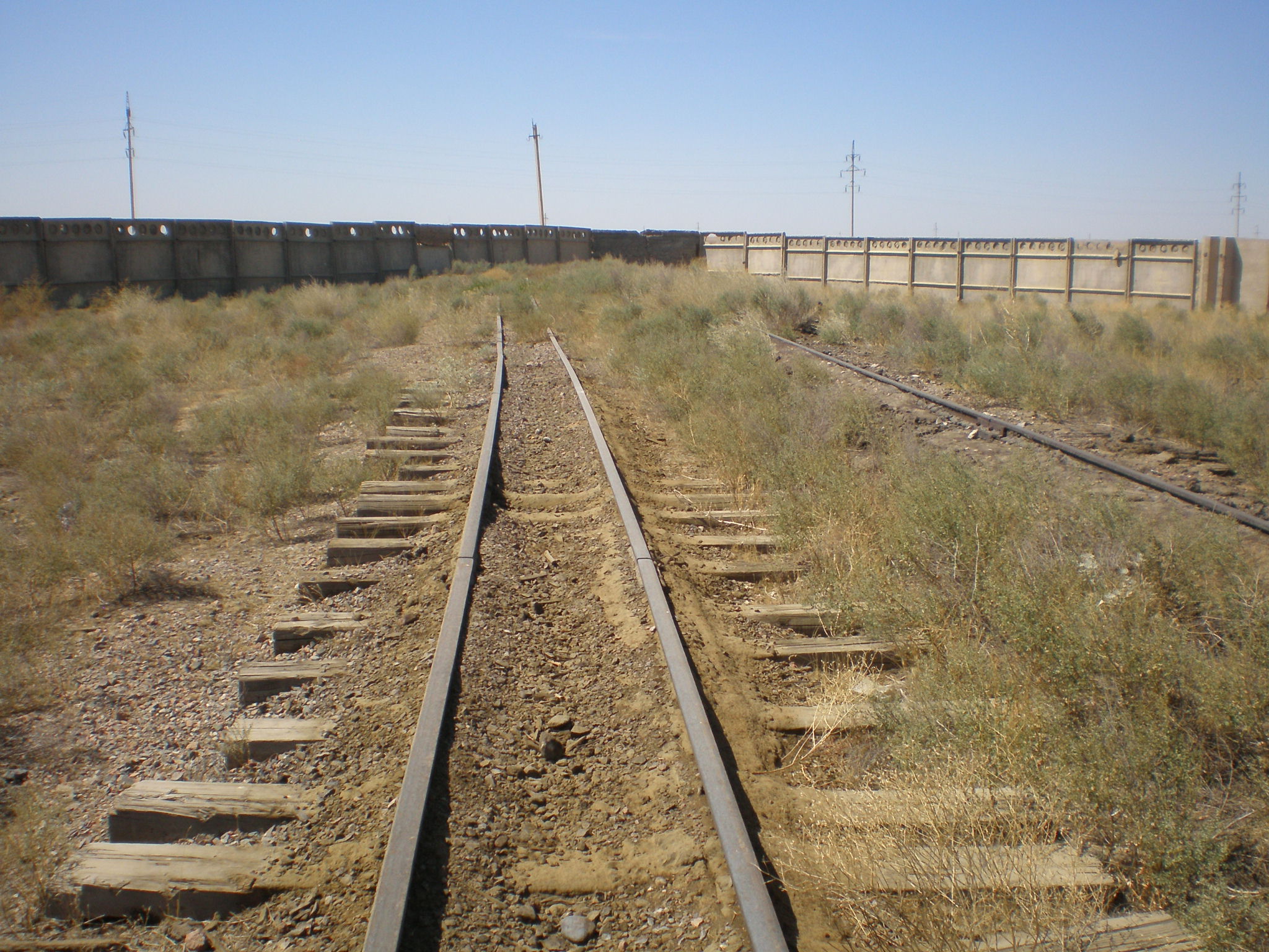 Узкоколейная железная дорога Арысского шпалопропиточного завода —  фотографии, сделанные в 2008 году (часть 9)
