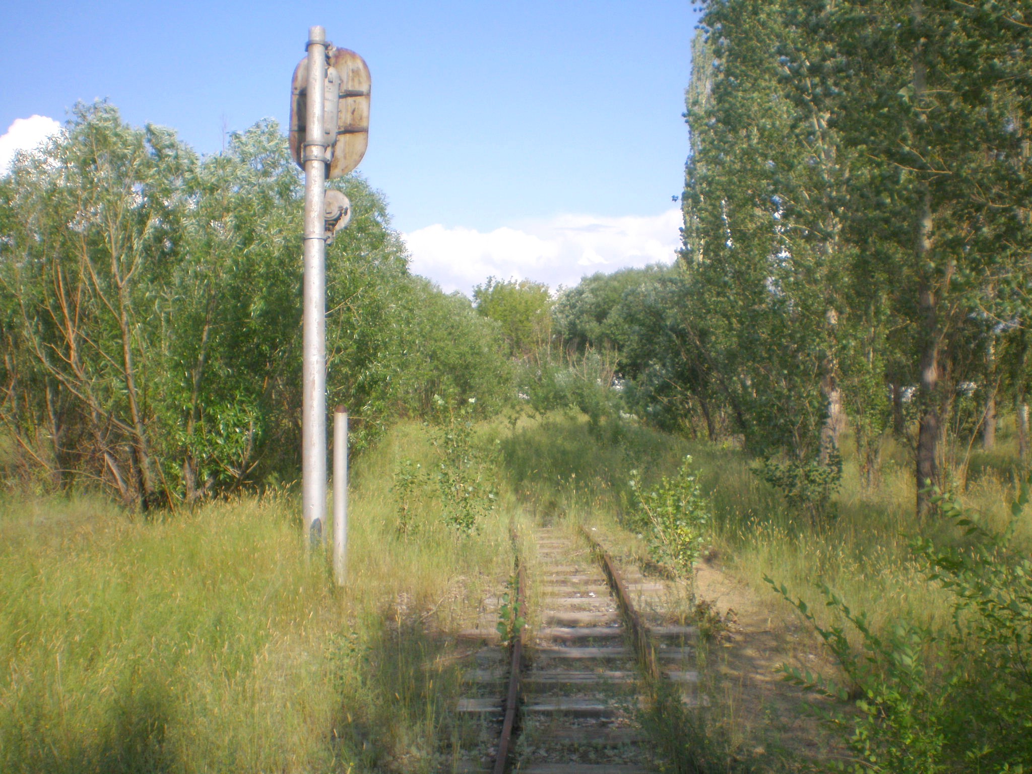 Павлодарская детская железная дорога  —  фотографии, сделанные в 2009 году (часть 4)