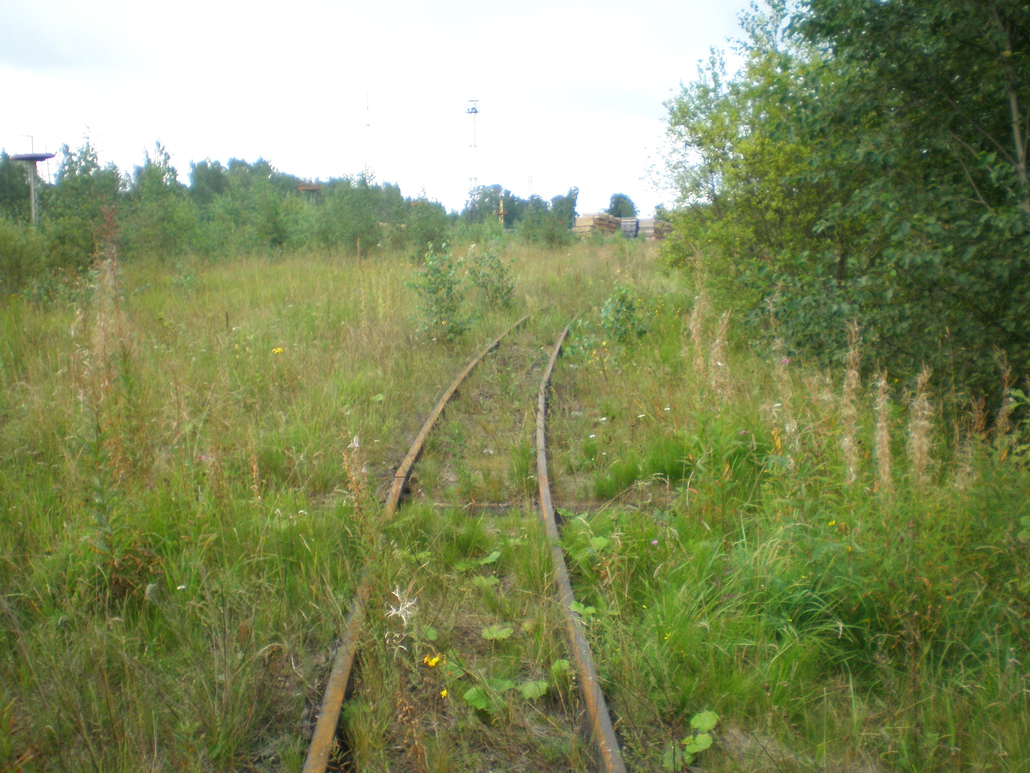 Узкоколейная железная дорога Бологовского шпалопропиточного завода  —  фотографии, сделанные в 2008 году (часть 3)
