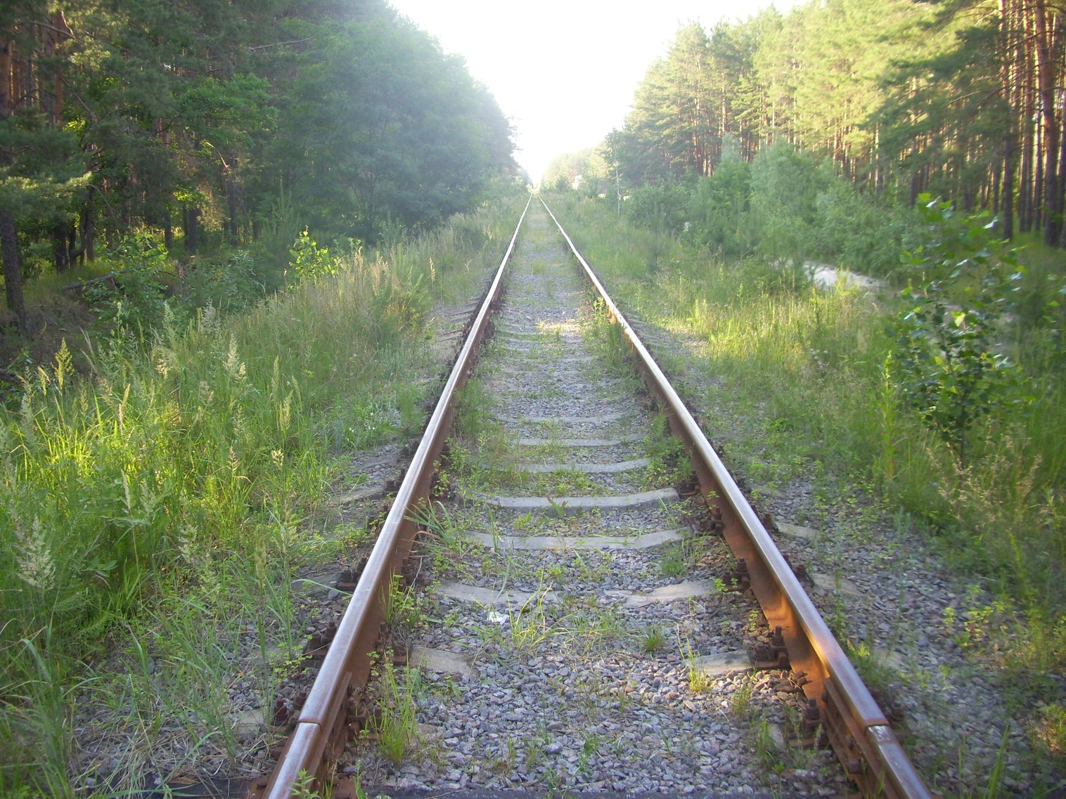 Железнодорожная линия Десна  — Полигон — фотографии, сделанные в 2011 году (часть 2)