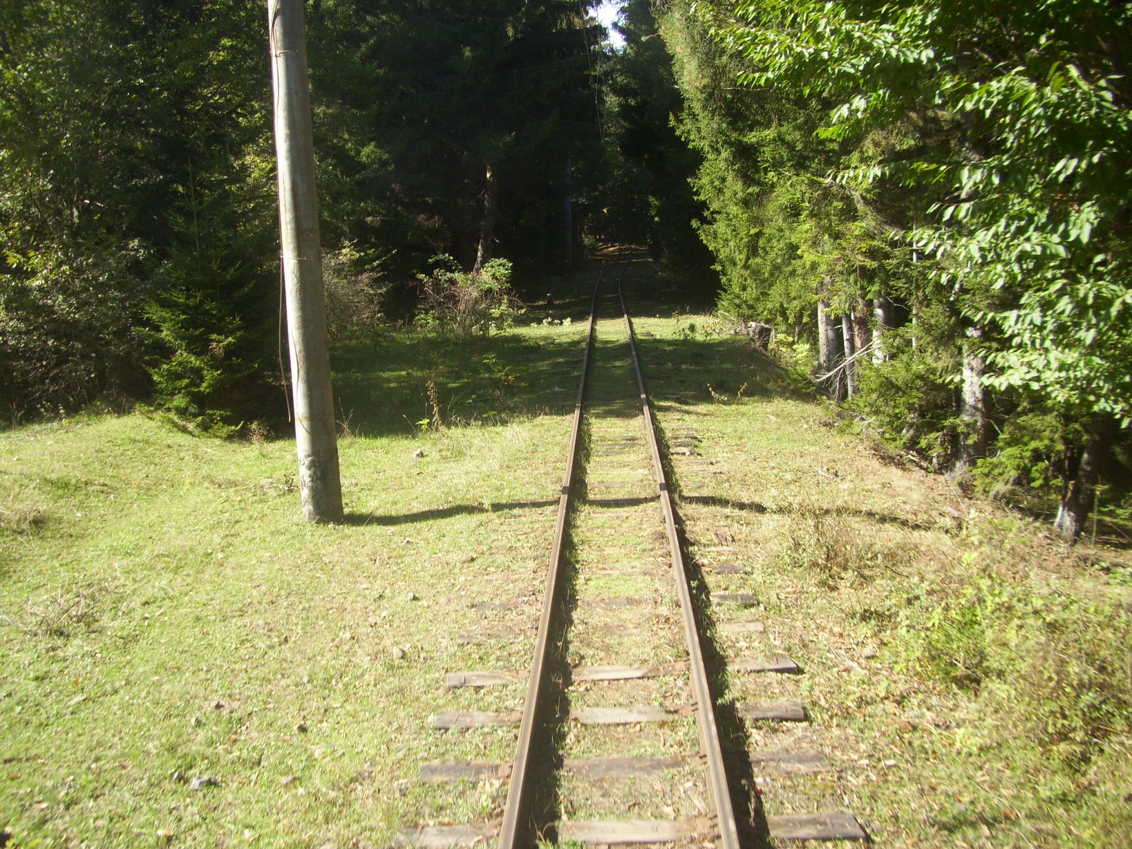 Узкоколейная железная дорога Боржоми — Бакуриани — фотографии, сделанные в 2010 году (часть 10)