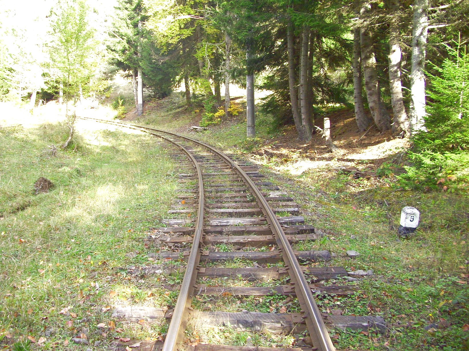 Узкоколейная железная дорога Боржоми — Бакуриани — фотографии, сделанные в 2010 году (часть 15)