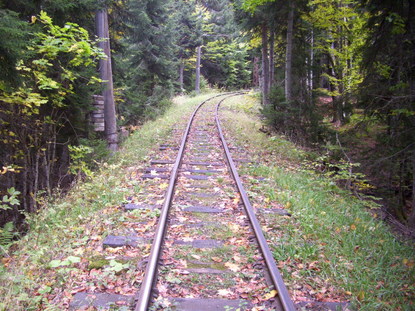 Узкоколейная железная дорога Боржоми — Бакуриани — фотографии, сделанные в 2010 году (часть 16)
