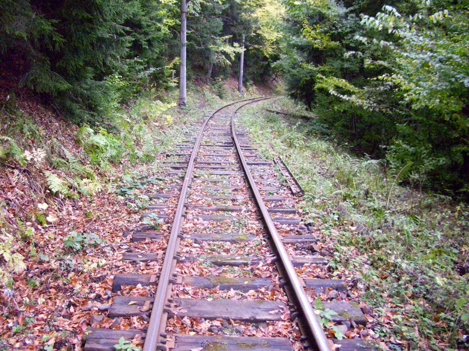 Узкоколейная железная дорога Боржоми — Бакуриани — фотографии, сделанные в 2010 году (часть 17)
