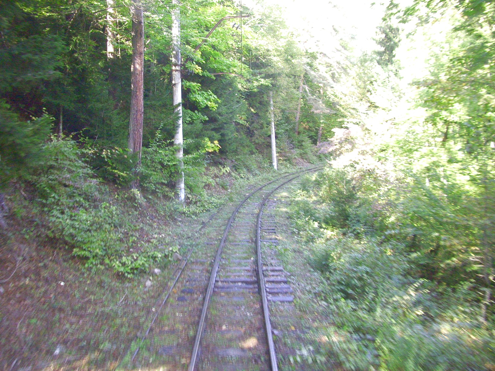 Узкоколейная железная дорога Боржоми — Бакуриани — фотографии, сделанные в 2010 году (часть 3)