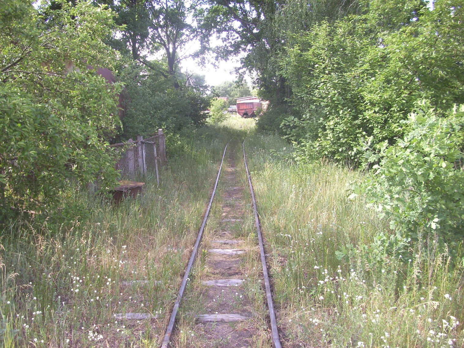 Узкоколейная железная дорога Ирванцевского торфобрикетного завода
  —  фотографии, сделанные в 2011 году (часть 5)